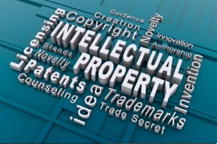 propiedad intelectual3